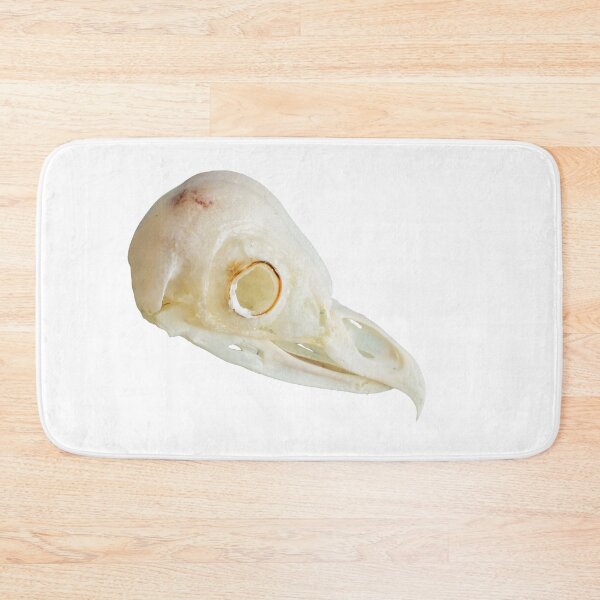 Item preview, Barn Owl skull designed and sold by Dalyndigital Photography.