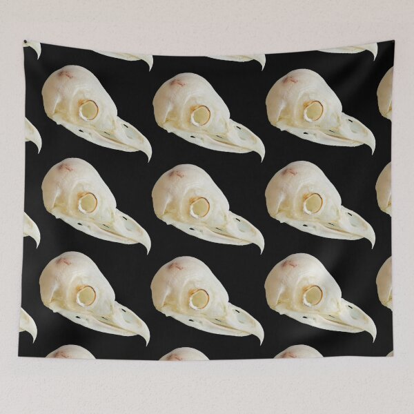 Item preview, Barn Owl skull designed and sold by Dalyndigital Photography.