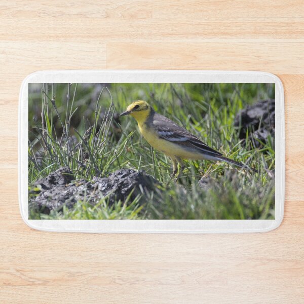 Item preview, Citrine Wagtail designed and sold by LaurenTucker.