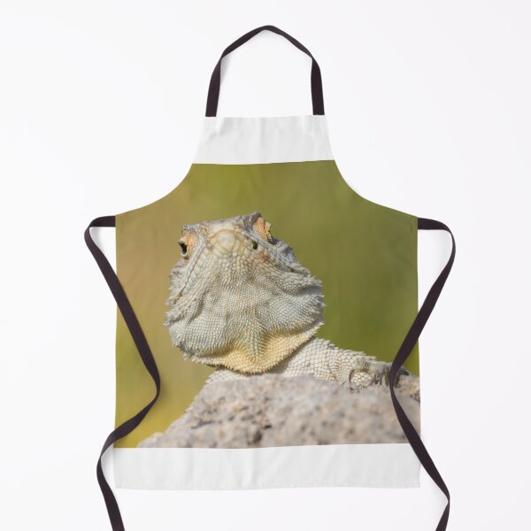 Item preview, Cyprus Rock Agama designed and sold by LaurenTucker.