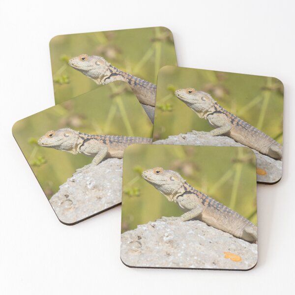 Item preview, Cyprus Rock Agama designed and sold by LaurenTucker.
