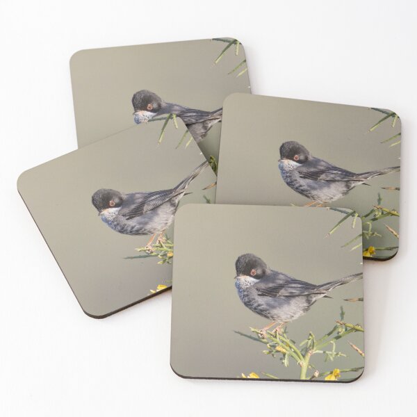 Item preview, Cyprus Warbler designed and sold by LaurenTucker.