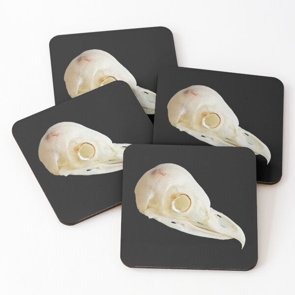 Item preview, Barn Owl skull designed and sold by Dalyndigital Photography.