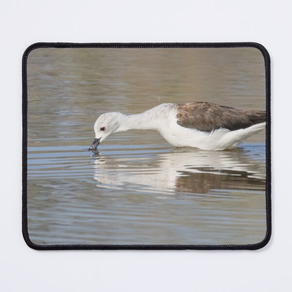 Item preview, Black Winged Stilt designed and sold by LaurenTucker.