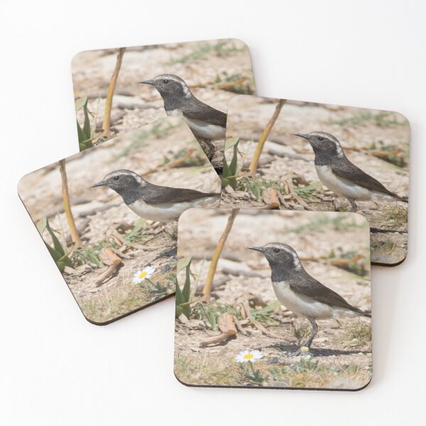 Item preview, Cyprus Wheatear designed and sold by LaurenTucker.