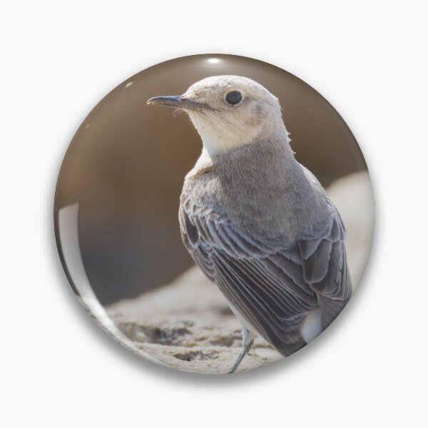 Item preview, Hooded Wheatear designed and sold by LaurenTucker.