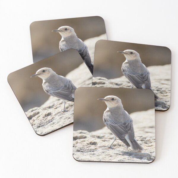 Item preview, Hooded Wheatear designed and sold by LaurenTucker.