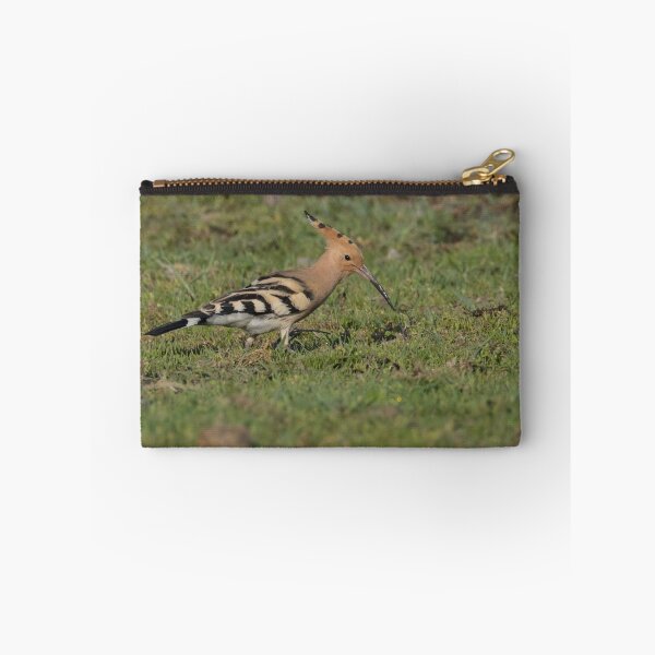 Item preview, Hoopoe designed and sold by LaurenTucker.