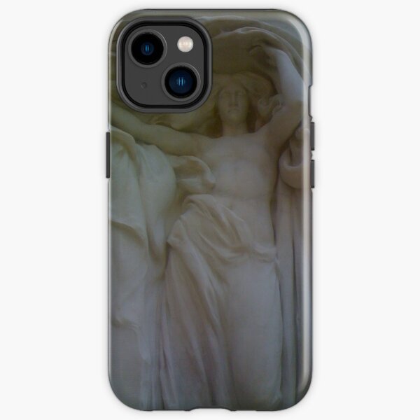 Case iPhone 15 Pro Max Frieze - Dealy