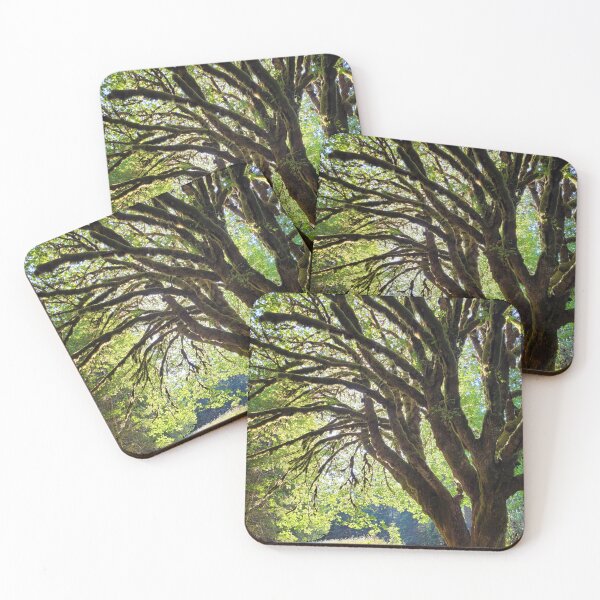Item preview, Mossy Maple with the Morning Sun designed and sold by MtnAshMan.