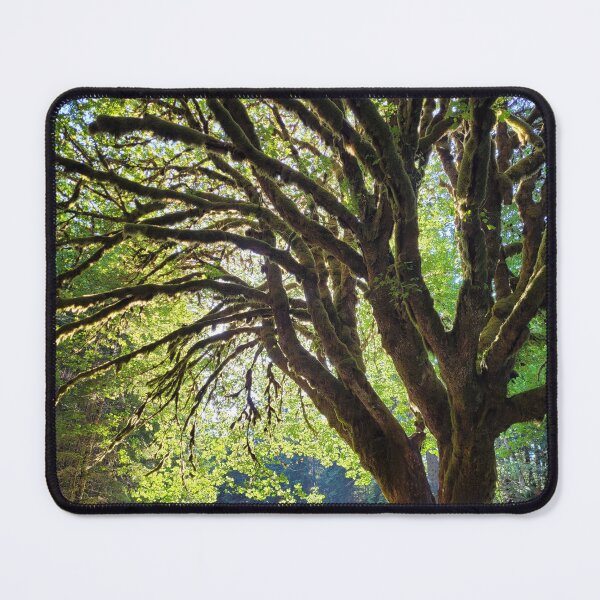 Item preview, Mossy Maple with the Morning Sun designed and sold by MtnAshMan.