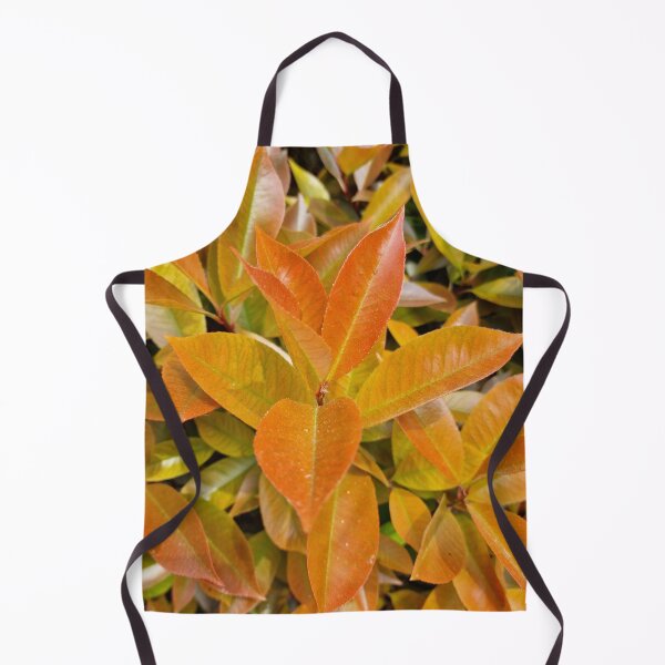 Item preview, Photinia, Christmas Berry, Fresh Spring Leaves designed and sold by Gaboro.