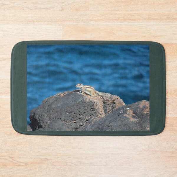 Item preview, Barbary Ground Squirrel At Coast designed and sold by eddiebarronshop.
