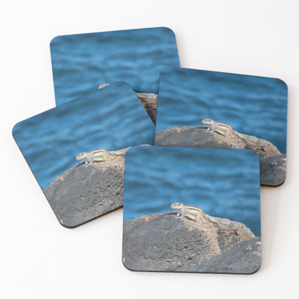 Item preview, Barbary Ground Squirrel At Coast designed and sold by eddiebarronshop.