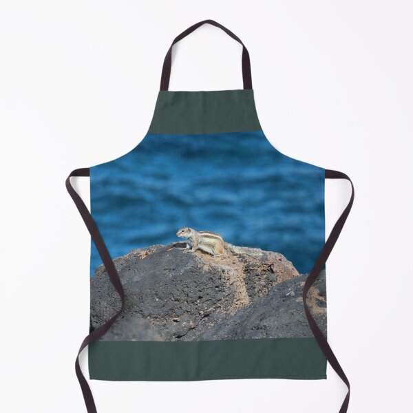 Item preview, Barbary Ground Squirrel At Coast designed and sold by eddiebarronshop.