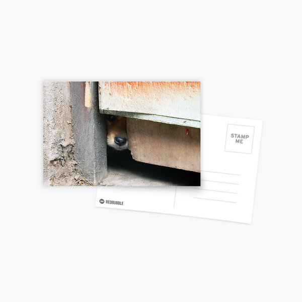 Sniffing out the intruders Postcard