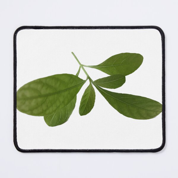 Item preview, Mini tiny plant, green earth, love the earth, green leaves designed and sold by pipikijung.