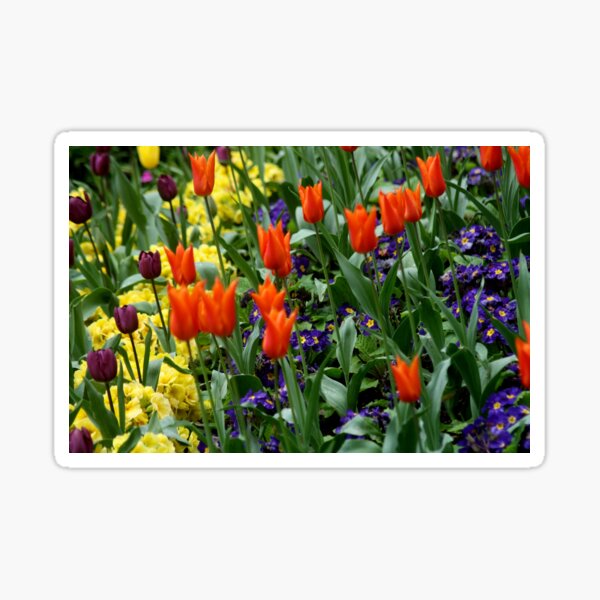 Abstract flowers Sticker