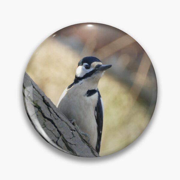 Item preview, Great spotted woodpecker designed and sold by Evergreen365.