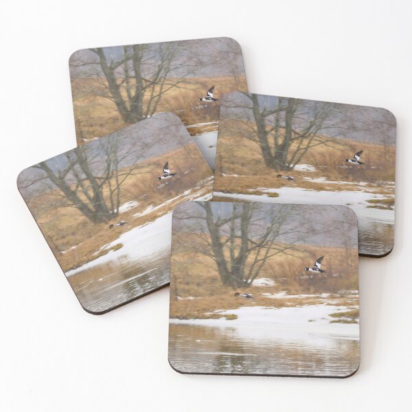 Item preview, Follow the beauty. Common goldeneye designed and sold by Jouko Lehto Photography.