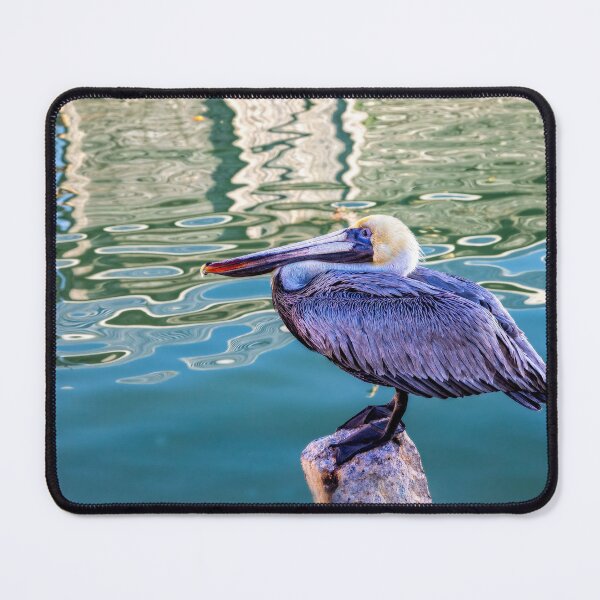 Item preview, Pelican At Rest designed and sold by Kay Brewer.