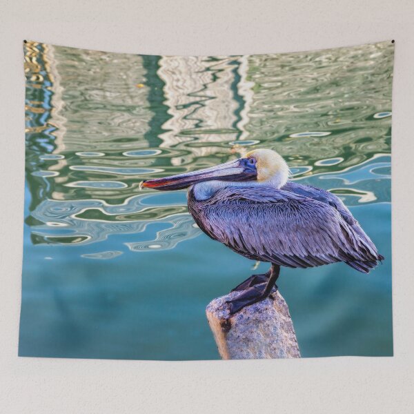Item preview, Pelican At Rest designed and sold by Kay Brewer.