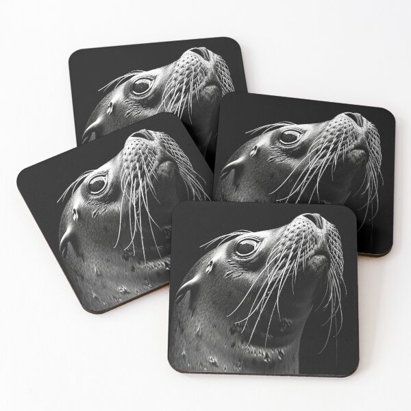 Item preview, Shadow and Light Underwater Seal designed and sold by Brendon987.
