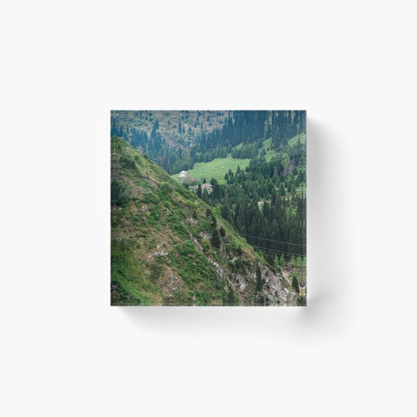 Aperçu de l'œuvre Montagnes du Kazakhstan créée et vendue par Ntograph.