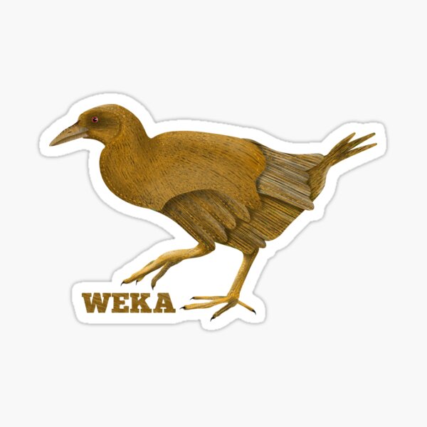 Item preview, Copy of Weka New Zealand Bird designed and sold by piedaydesigns.