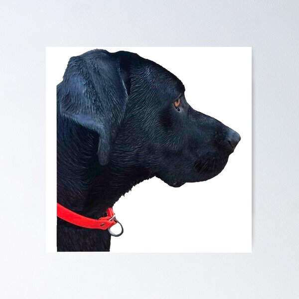 Item preview, Goose the black lab  designed and sold by OKyak.