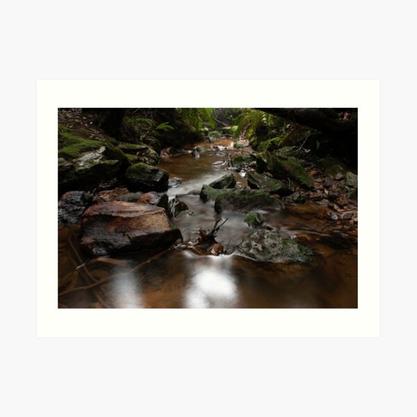 pools of siloam, Blue mountains, NSW, Australia Art Print