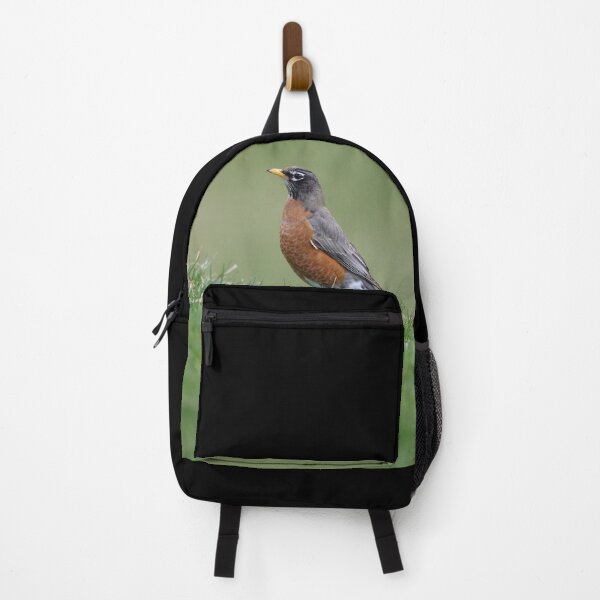Item preview, Robin on a Hill designed and sold by LisaNaturePhoto.