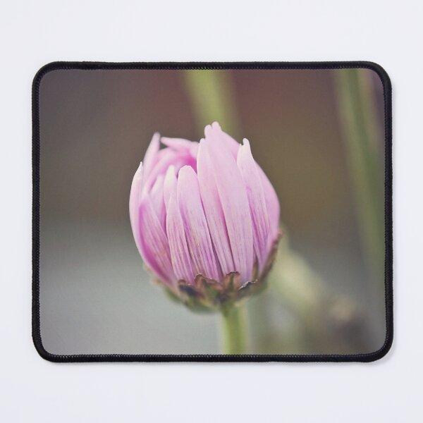 Item preview, Flower  designed and sold by HarmonyandSage.