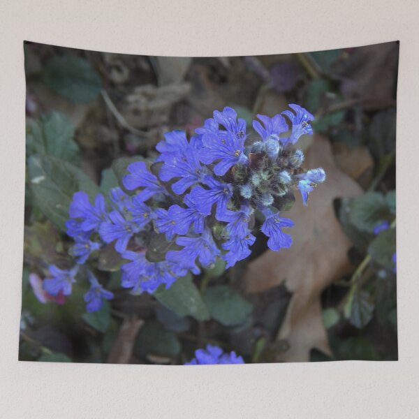 Item preview, Carpet Bugle designed and sold by gistinker.