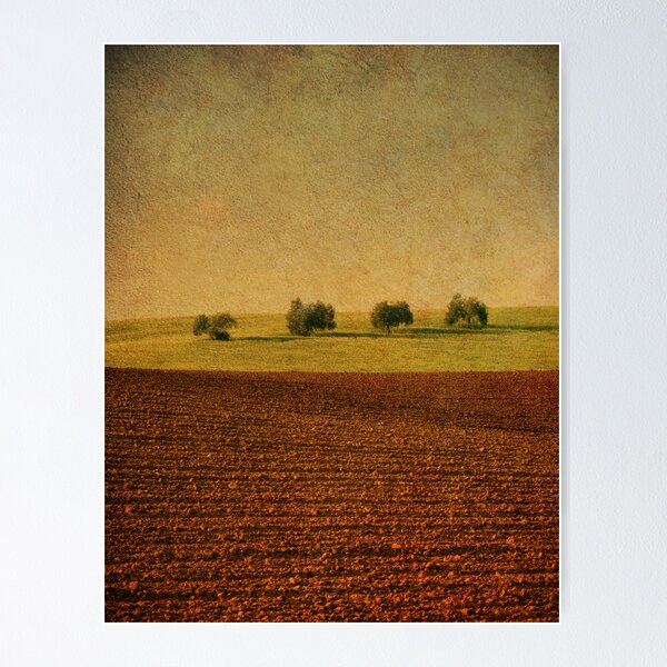 Item preview, Lines and Trees. designed and sold by Antonio Arcos Toscano.