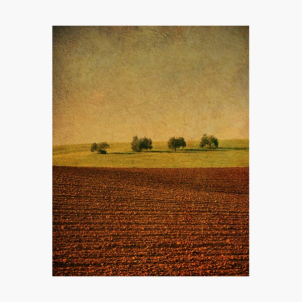 Artikelvorschau, Lines and Trees. entworfen und verkauft von Antonio Arcos Toscano.