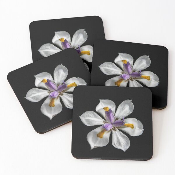 Item preview, Floral Glory  designed and sold by heatherfriedman.