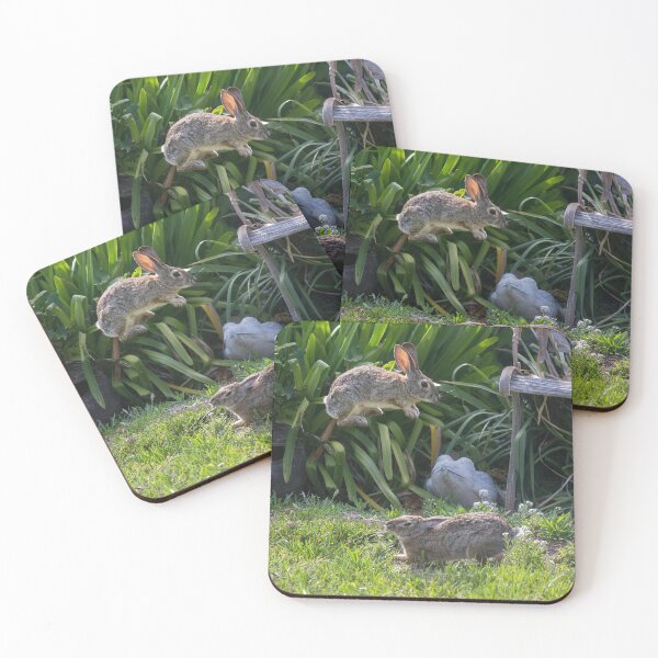 Item preview, Jumping High Cottontail Rabbit designed and sold by CarolM.