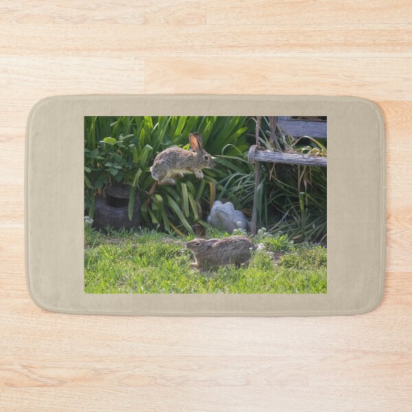 Item preview, Jumping High Cottontail Rabbit designed and sold by CarolM.