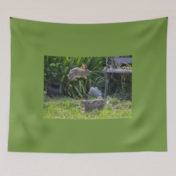 Item preview, Jumping High Cottontail Rabbit designed and sold by CarolM.