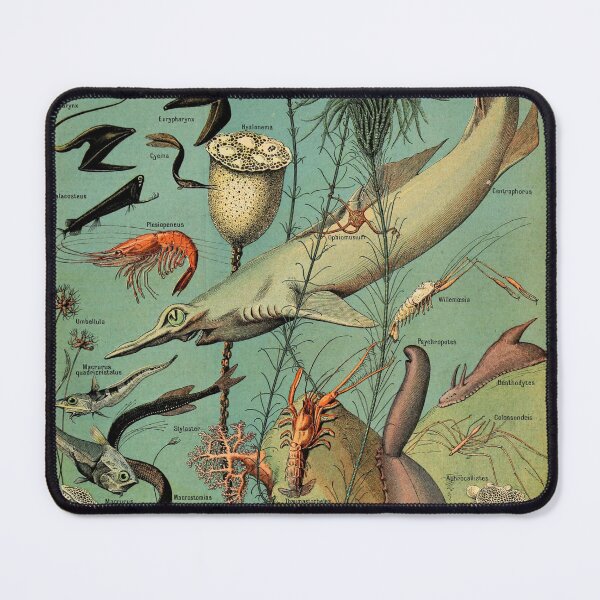 Item preview, Vintage Oceanographie Illustration Adolphe Millot  designed and sold by Oracle0702.