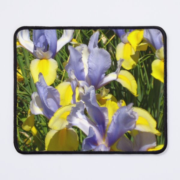 Item preview, Profusion of Purple and Yellow Dutch Iris  designed and sold by JoyousArt4u.