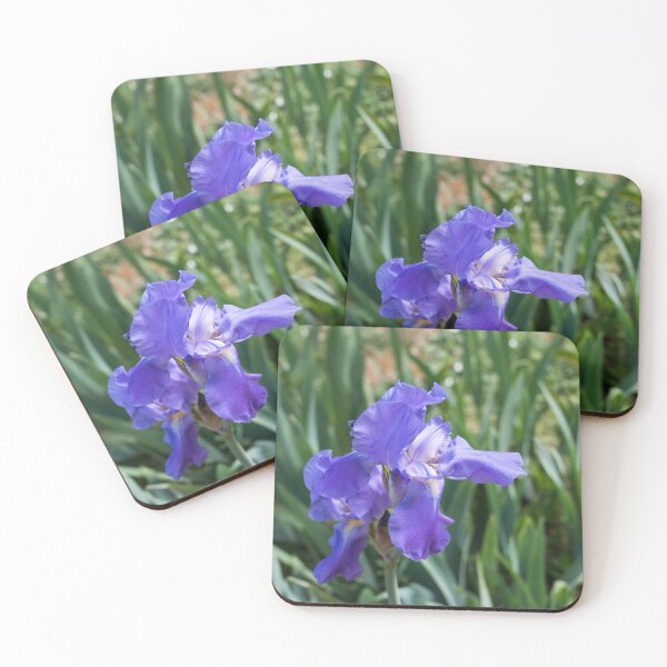 Item preview, Beautiful German Iris Bloom in Cobalt Blue designed and sold by Georgia Mizuleva.