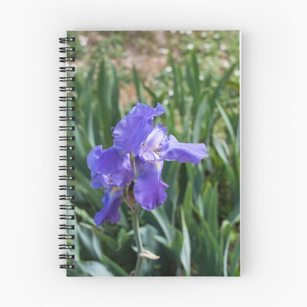 Item preview, Beautiful German Iris Bloom in Cobalt Blue designed and sold by Georgia Mizuleva.