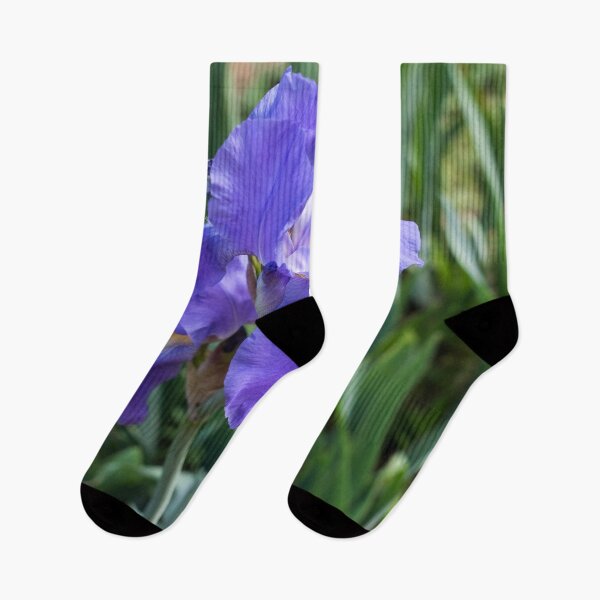 Item preview, Beautiful German Iris Bloom in Cobalt Blue designed and sold by Georgia Mizuleva.