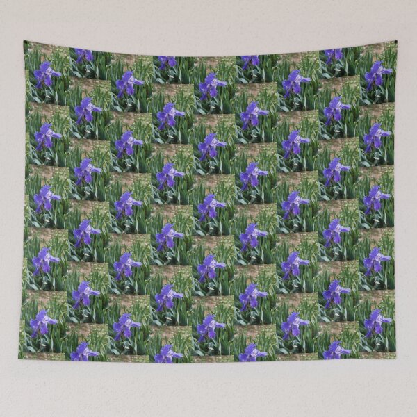 Item preview, Beautiful German Iris Bloom in Cobalt Blue designed and sold by Georgia Mizuleva.