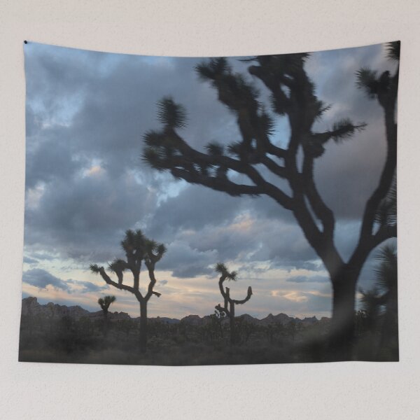 Item preview, Joshua trees at night designed and sold by MariannaPhotos.