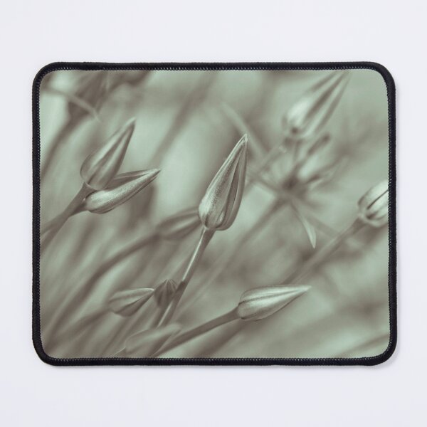 Item preview, Symphony of Alliums designed and sold by assaf.