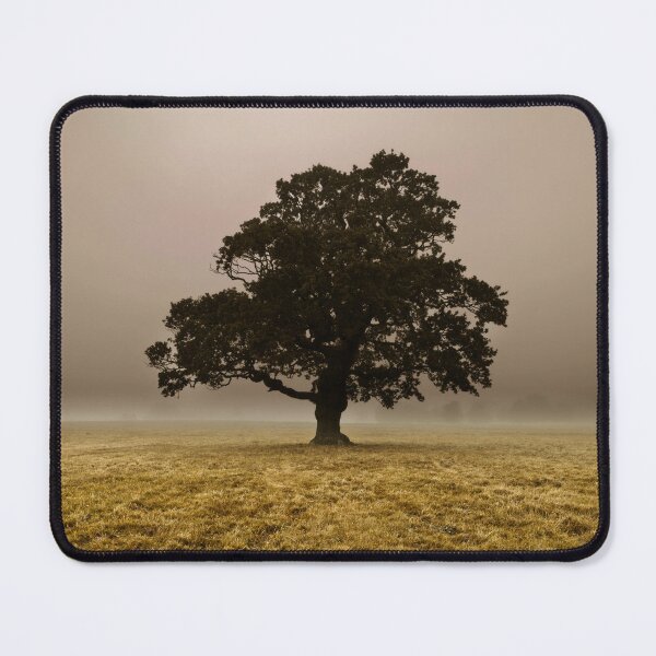 Item preview, Single Tree in mist and fog designed and sold by assaf.