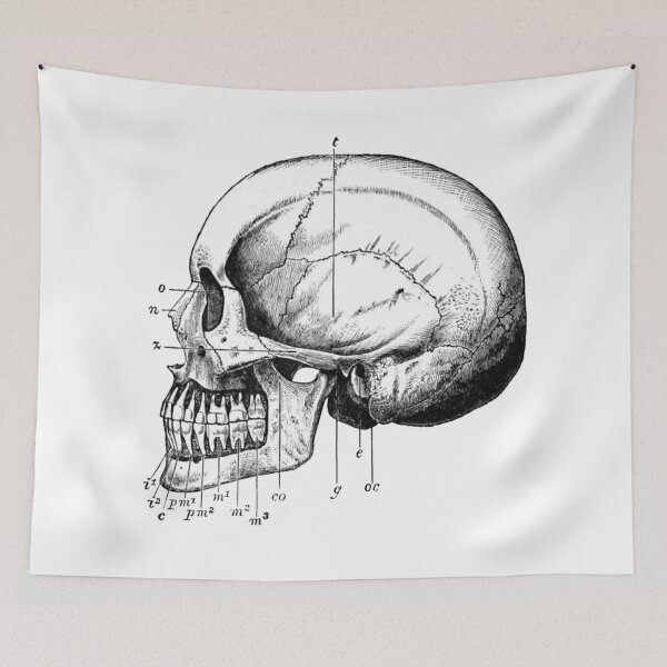 Item preview, Skull 3 designed and sold by upopot.